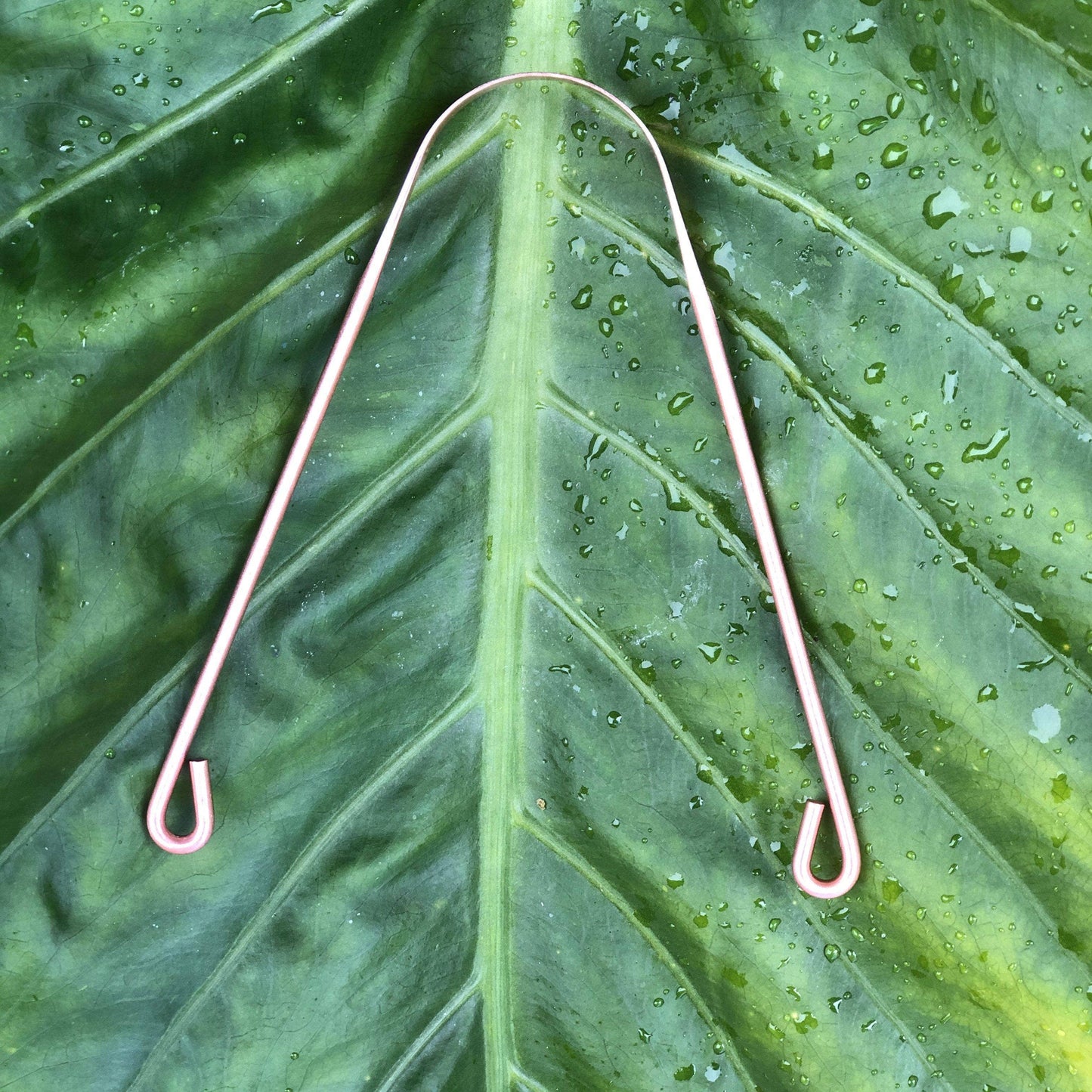 Copper Tongue Scraper