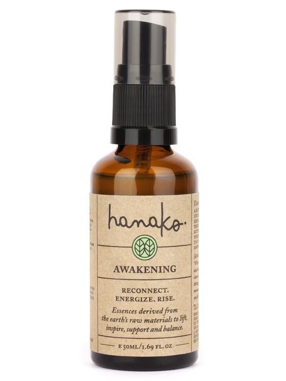 Hanako Awakening (Wake Me Up)