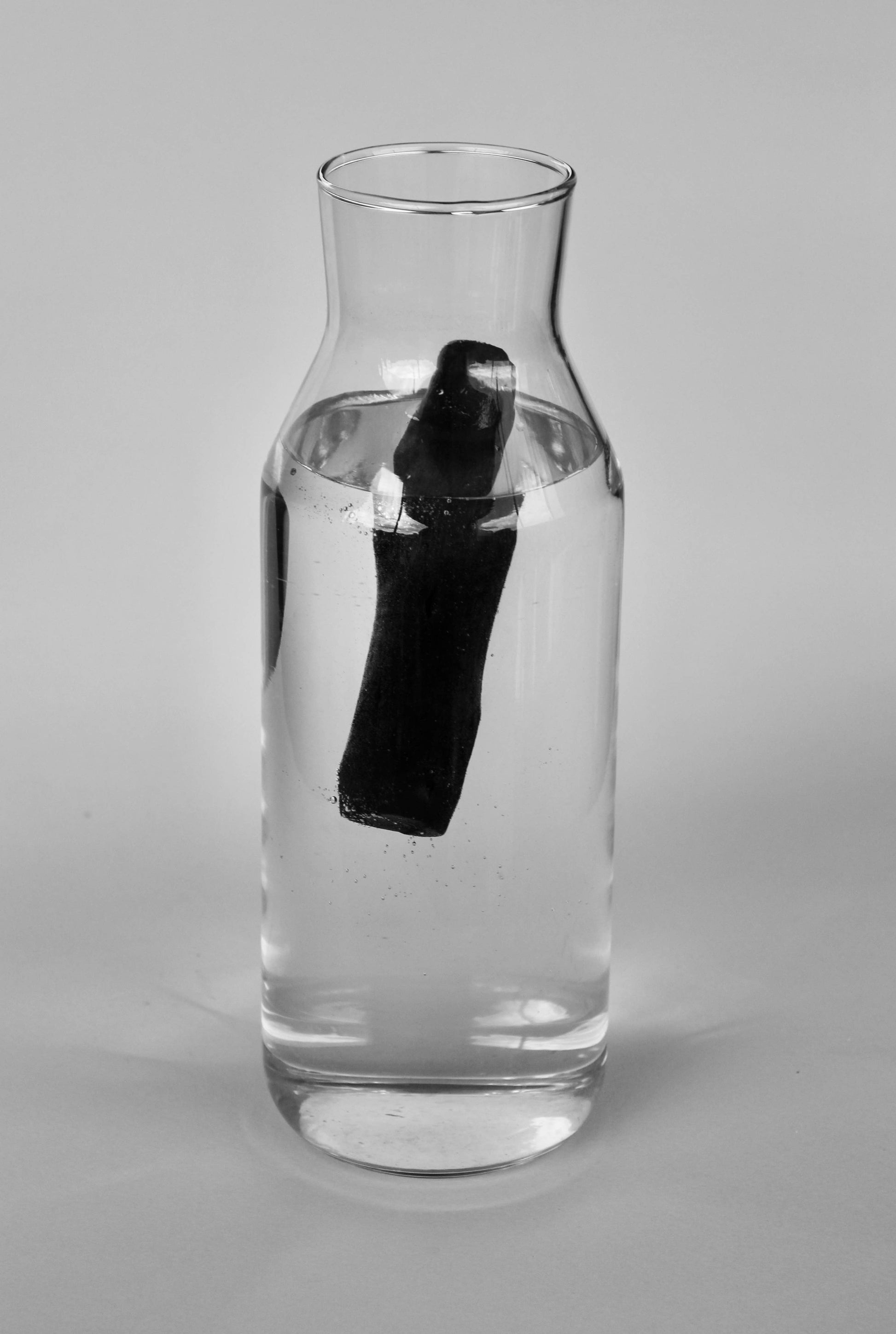 Charcoal Water Filter Whole & Happy