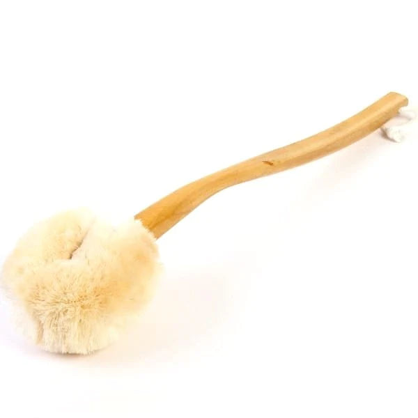 Eco Max Back Brush with Long Handle